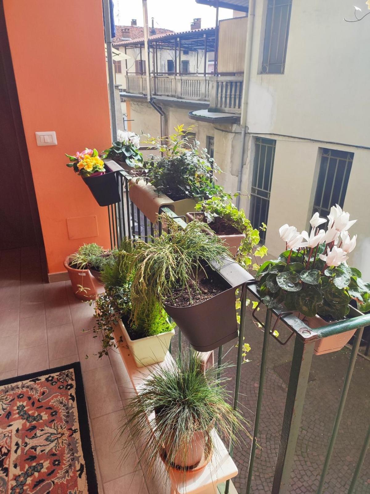 Antico Affittacamere Di Tollegno Exterior foto